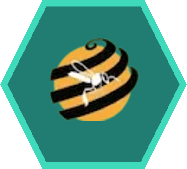 Ruta-Meli Icon